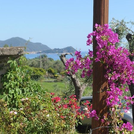 Vila Casa Franguella - Uliveto Sul Mare Lavagna Exteriér fotografie